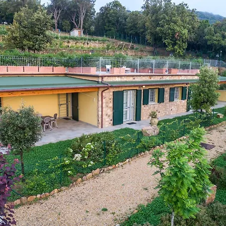 Borgo Dell'uccellaia - Smeraldo - Ametista *