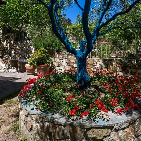 Borgo Dell'uccellaia - Smeraldo - Ametista *