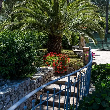 Borgo Dell'uccellaia - Smeraldo - Ametista Marciana Marina (Isola d'Elba)